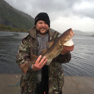 6lb west coast cod caught up at loch etive using your shore pulley